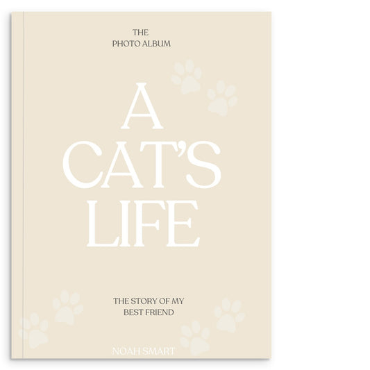 Cats-Life
