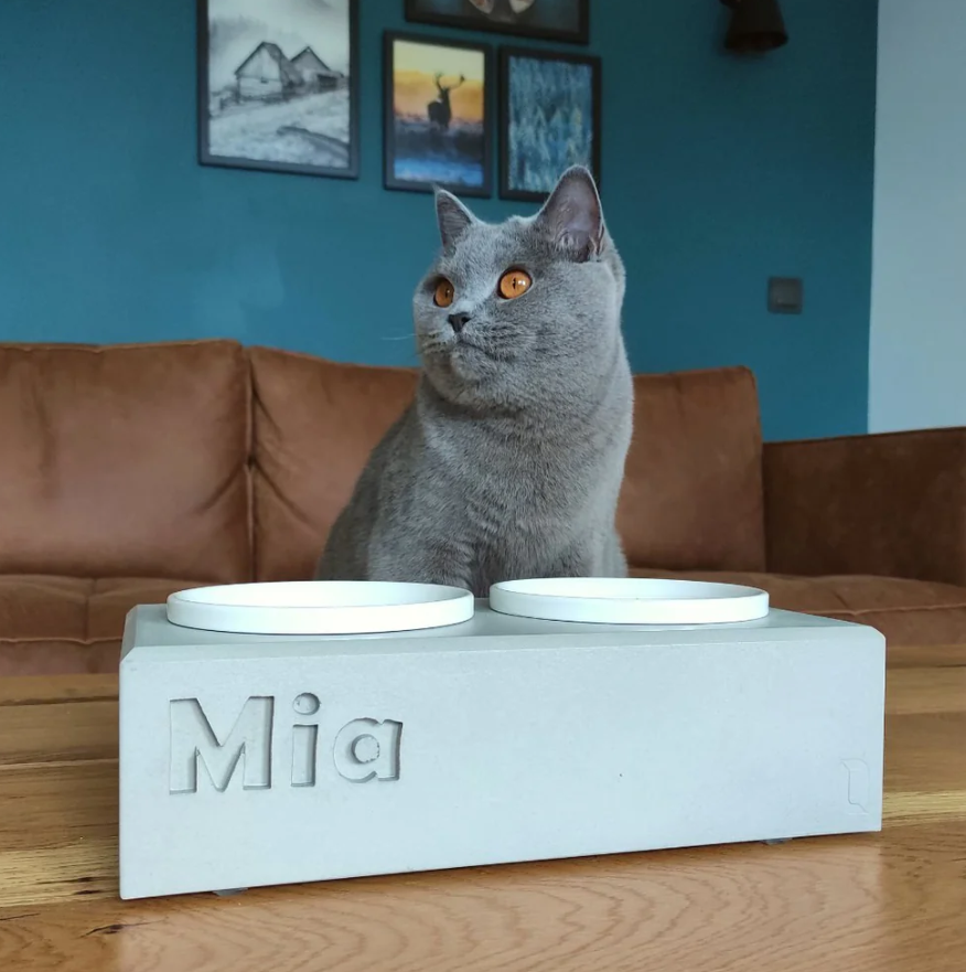Napf-mit-Katze